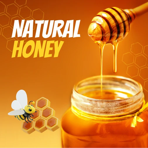 The game with our new additions!